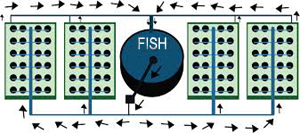 Aquaponics